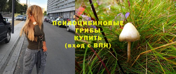 mix Белокуриха
