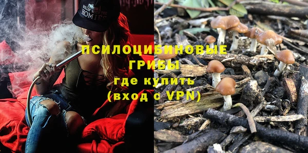 mix Белокуриха