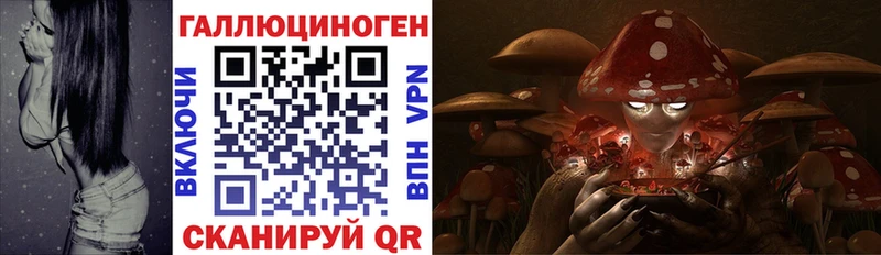 Галлюциногенные грибы MAGIC MUSHROOMS  Железногорск-Илимский 