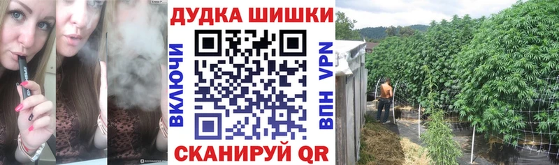 МАРИХУАНА конопля  OMG как зайти  Железногорск-Илимский 